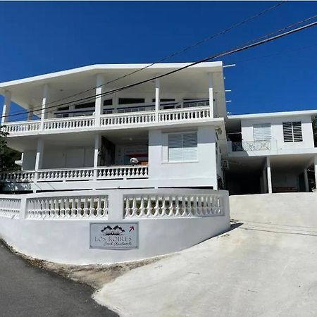 Los Roires Beach Apartments Fajardo Zewnętrze zdjęcie